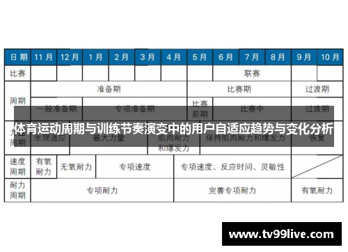 体育运动周期与训练节奏演变中的用户自适应趋势与变化分析
